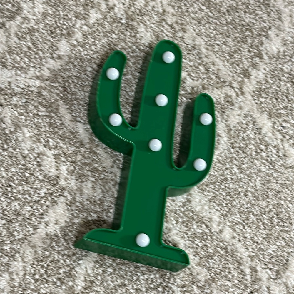 Light-up cactus decoration - plant - succulent - dorm or kids room - fun quirky